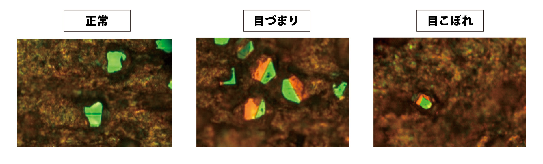 実際に削っている砥石の変化を観察