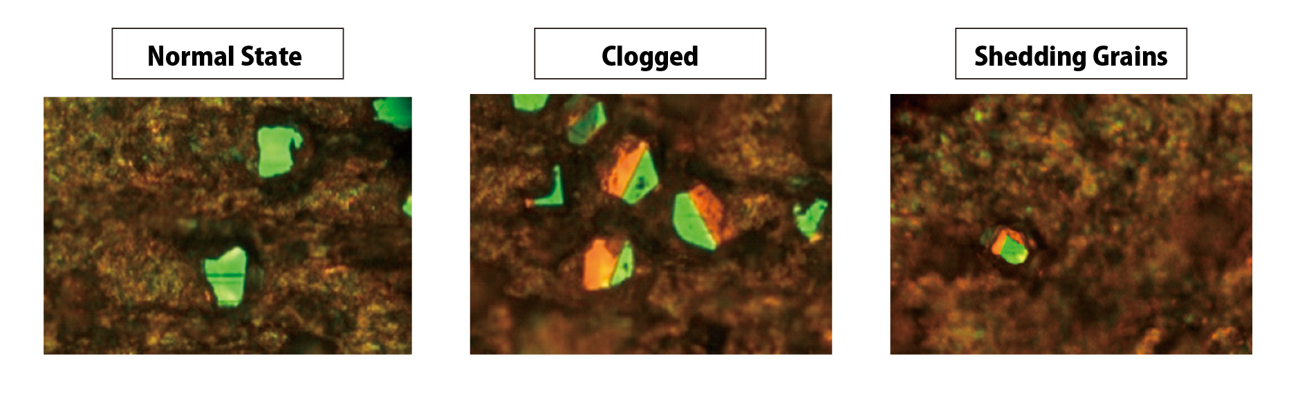 Observe Changes in the Grinding Wheel That Is Actually Being Sharpened